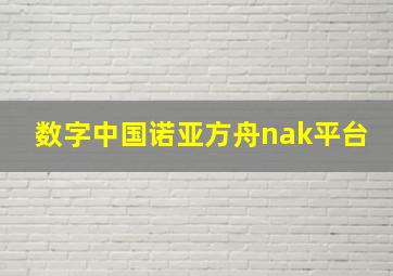 数字中国诺亚方舟nak平台