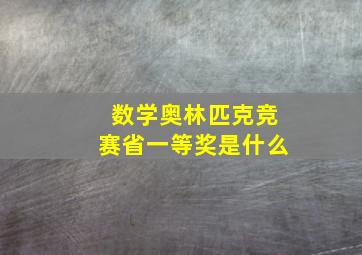 数学奥林匹克竞赛省一等奖是什么