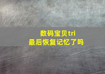 数码宝贝tri最后恢复记忆了吗