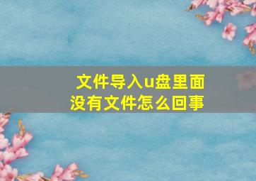 文件导入u盘里面没有文件怎么回事