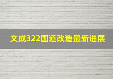 文成322国道改造最新进展