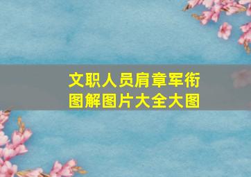 文职人员肩章军衔图解图片大全大图