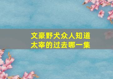 文豪野犬众人知道太宰的过去哪一集