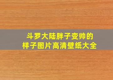 斗罗大陆胖子变帅的样子图片高清壁纸大全