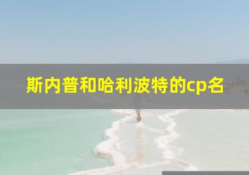 斯内普和哈利波特的cp名