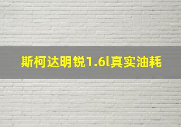 斯柯达明锐1.6l真实油耗