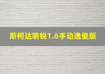 斯柯达明锐1.6手动逸俊版