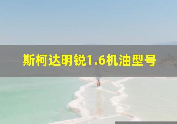 斯柯达明锐1.6机油型号