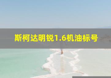 斯柯达明锐1.6机油标号