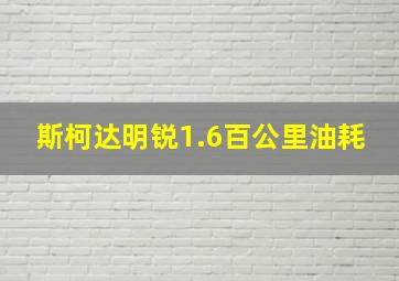 斯柯达明锐1.6百公里油耗