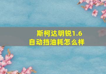 斯柯达明锐1.6自动挡油耗怎么样