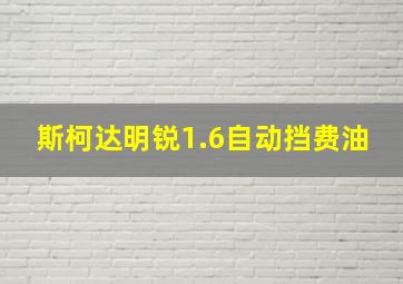 斯柯达明锐1.6自动挡费油