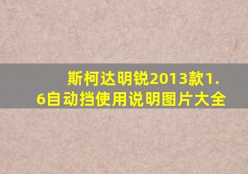 斯柯达明锐2013款1.6自动挡使用说明图片大全