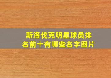 斯洛伐克明星球员排名前十有哪些名字图片