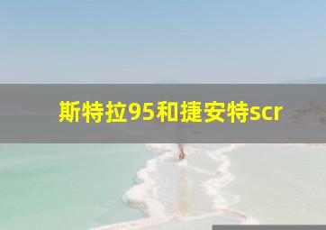 斯特拉95和捷安特scr