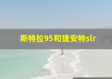 斯特拉95和捷安特slr