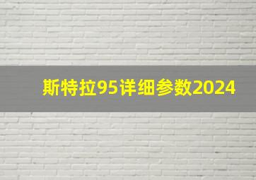 斯特拉95详细参数2024