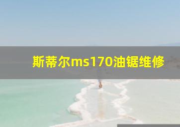 斯蒂尔ms170油锯维修