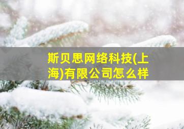 斯贝思网络科技(上海)有限公司怎么样