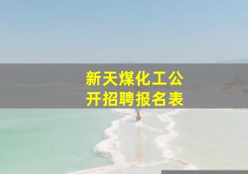 新天煤化工公开招聘报名表