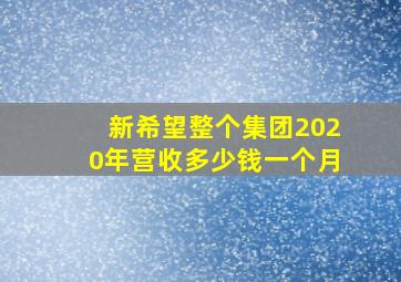 新希望整个集团2020年营收多少钱一个月