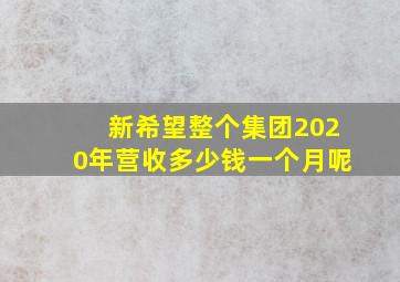 新希望整个集团2020年营收多少钱一个月呢