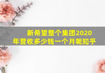 新希望整个集团2020年营收多少钱一个月呢知乎