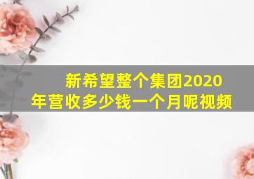 新希望整个集团2020年营收多少钱一个月呢视频