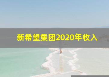 新希望集团2020年收入