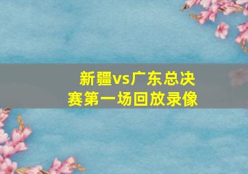 新疆vs广东总决赛第一场回放录像