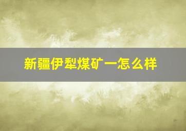 新疆伊犁煤矿一怎么样