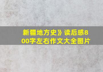 新疆地方史》读后感800字左右作文大全图片