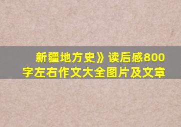 新疆地方史》读后感800字左右作文大全图片及文章