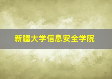 新疆大学信息安全学院