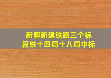 新疆新建铁路三个标段铁十四局十八局中标