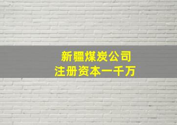 新疆煤炭公司注册资本一千万