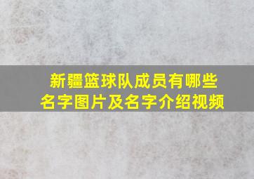 新疆篮球队成员有哪些名字图片及名字介绍视频