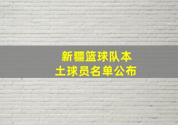 新疆篮球队本土球员名单公布