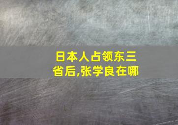 日本人占领东三省后,张学良在哪