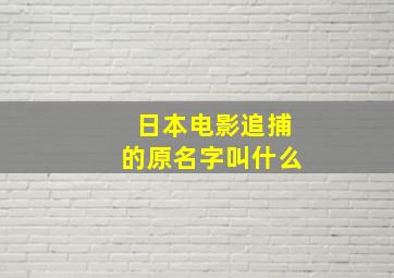 日本电影追捕的原名字叫什么