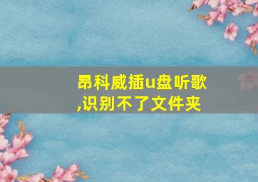 昂科威插u盘听歌,识别不了文件夹