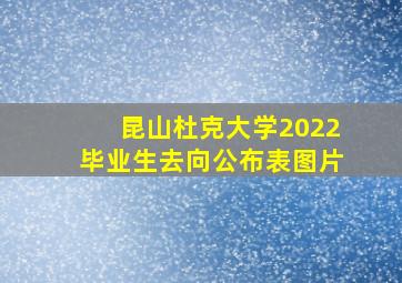 昆山杜克大学2022毕业生去向公布表图片