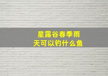 星露谷春季雨天可以钓什么鱼