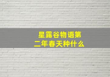 星露谷物语第二年春天种什么