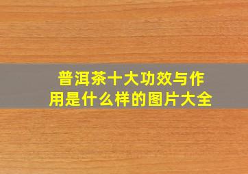 普洱茶十大功效与作用是什么样的图片大全