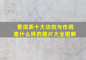 普洱茶十大功效与作用是什么样的图片大全图解