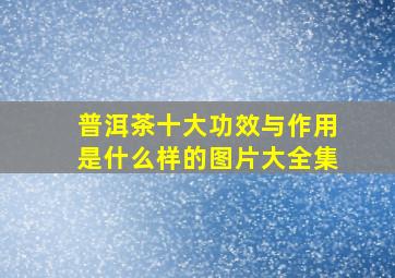 普洱茶十大功效与作用是什么样的图片大全集