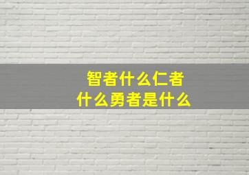 智者什么仁者什么勇者是什么