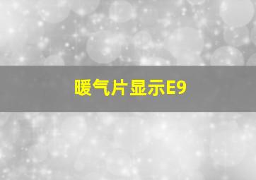 暖气片显示E9