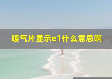 暖气片显示e1什么意思啊